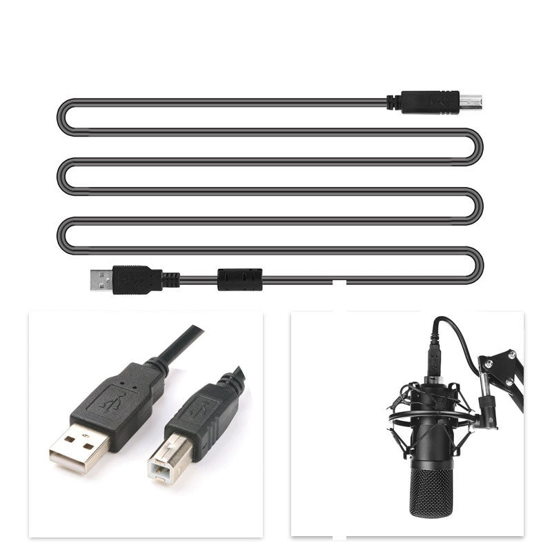 Microphone Set - Cardioid and Omnidirectional Mics with Shock Mounts and Pop Filters