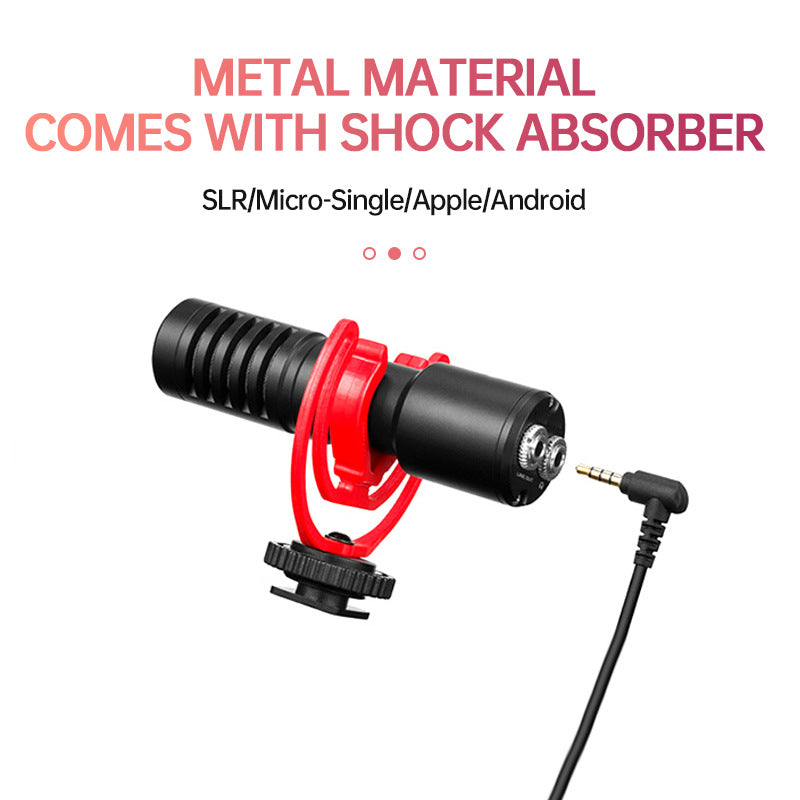 Portable Microphone for Mobile Phones and SLR Cameras