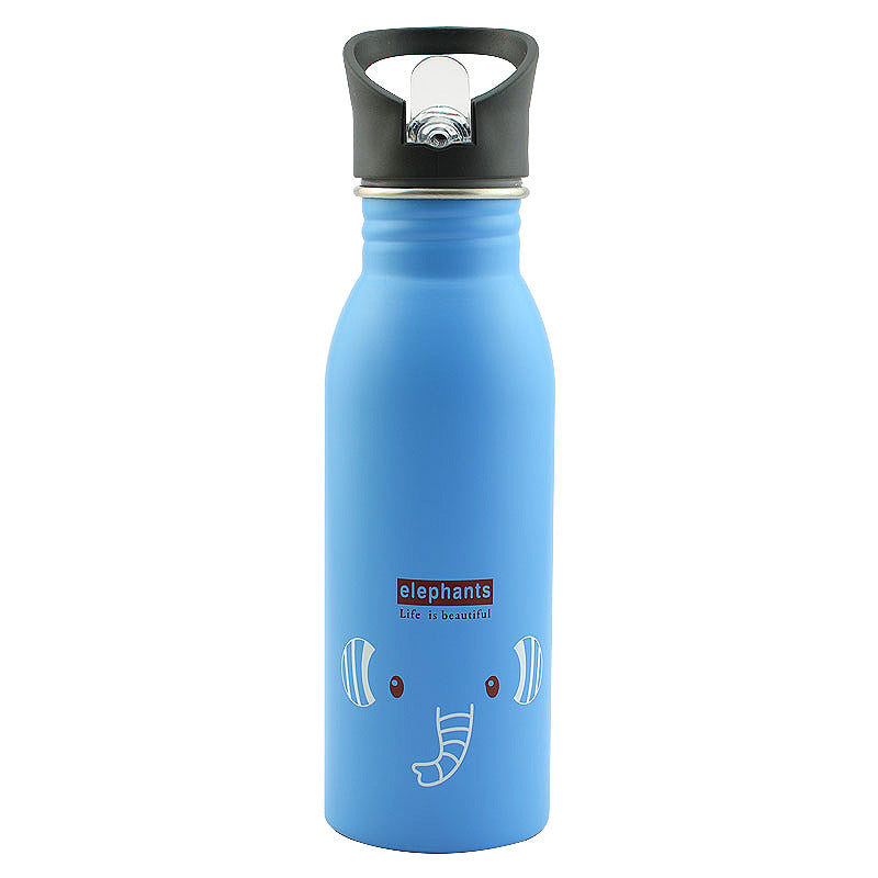 Stylish Stainless Steel Sports Bottle 