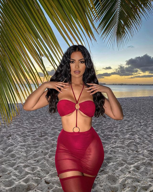 Beach Dress Halter Neck See Through Mesh Skirt