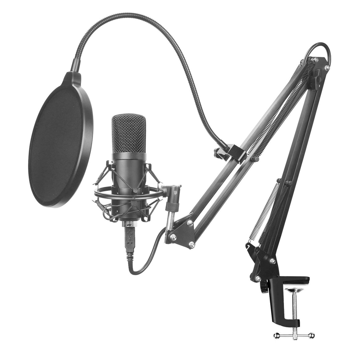 Portable Microphone Set