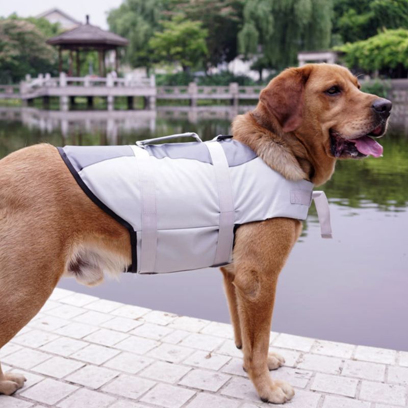 Pet life jacket