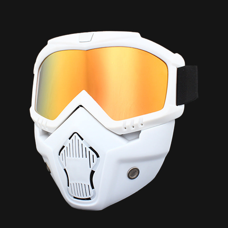 Ski Goggles for men and women