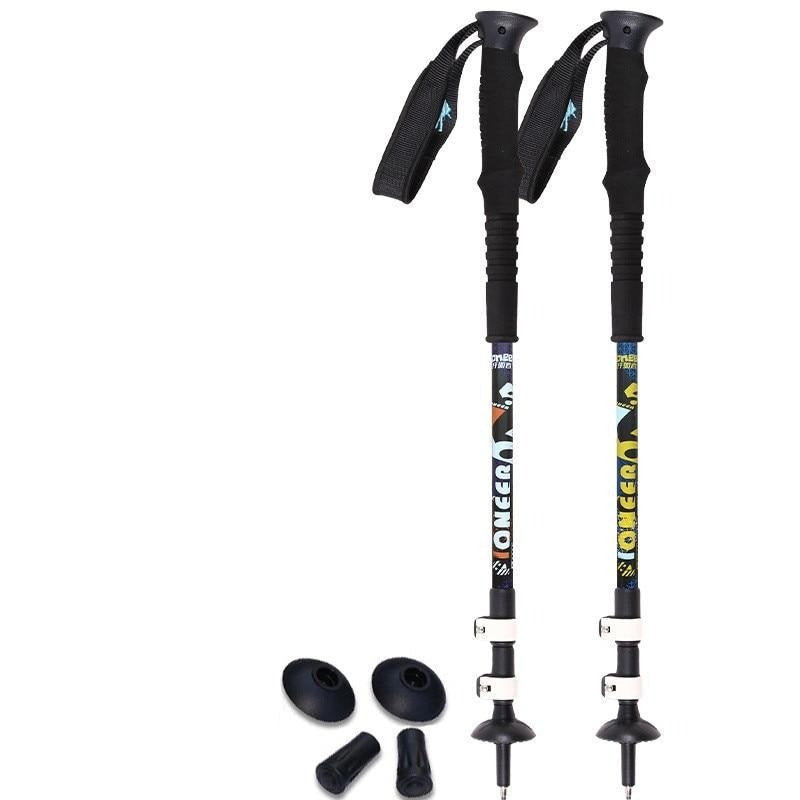 ski poles